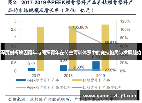 深度剖析埃因青年与阿贾青年在荷兰青训体系中的竞技格局与发展趋势 深度剖析埃因青年与阿贾青年在荷兰青训体系中的竞技格局与发展趋势